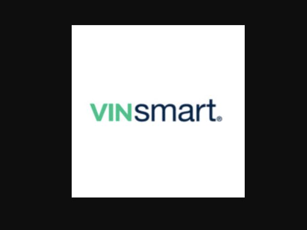 Vinsmart