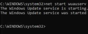 net start wuauserv
