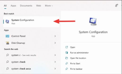 Windows 11 High Disk Usage