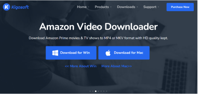 Kigosoft’s Video Downloader 