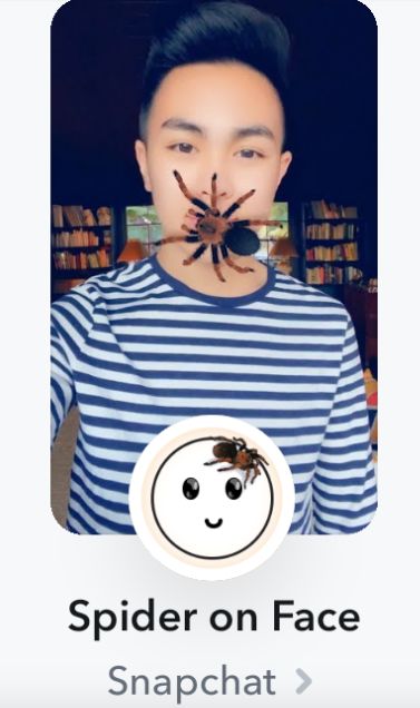 Spider On Face